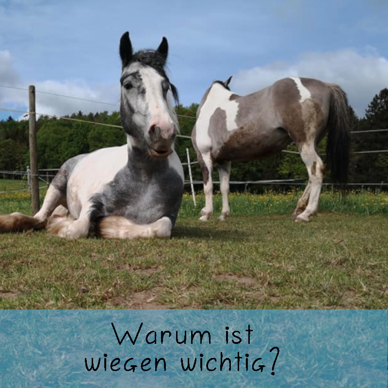 Warum wiegen?